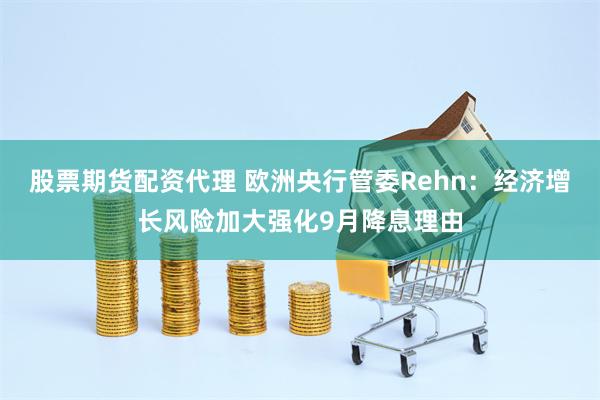 股票期货配资代理 欧洲央行管委Rehn：经济增长风险加大强化9月降息理由