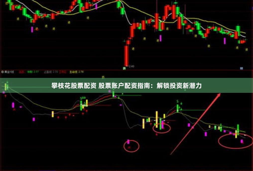 攀枝花股票配资 股票账户配资指南：解锁投资新潜力