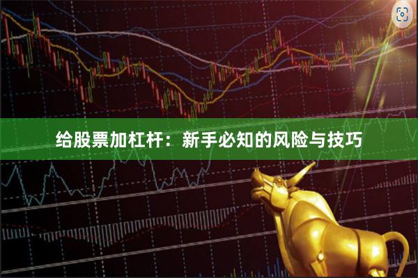 给股票加杠杆：新手必知的风险与技巧